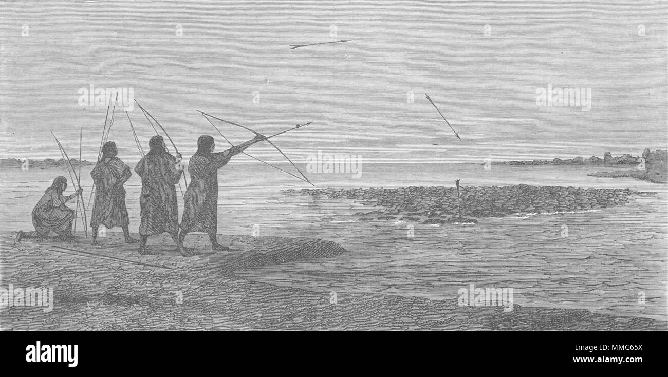 BRAZIL. Fresh-water turtle of Amazons. shooting 1880 old antique print picture Stock Photo