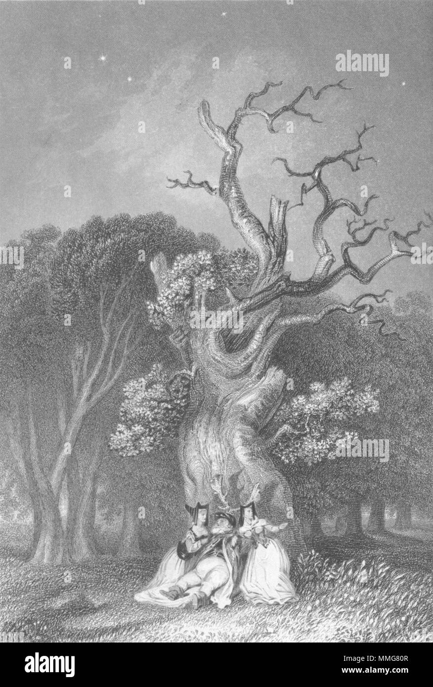 Sargent oak Black and White Stock Photos & Images - Alamy