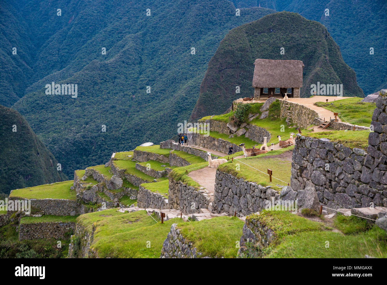 The road to Machu Picchu and beautiful landscapes Stock Photo - Alamy