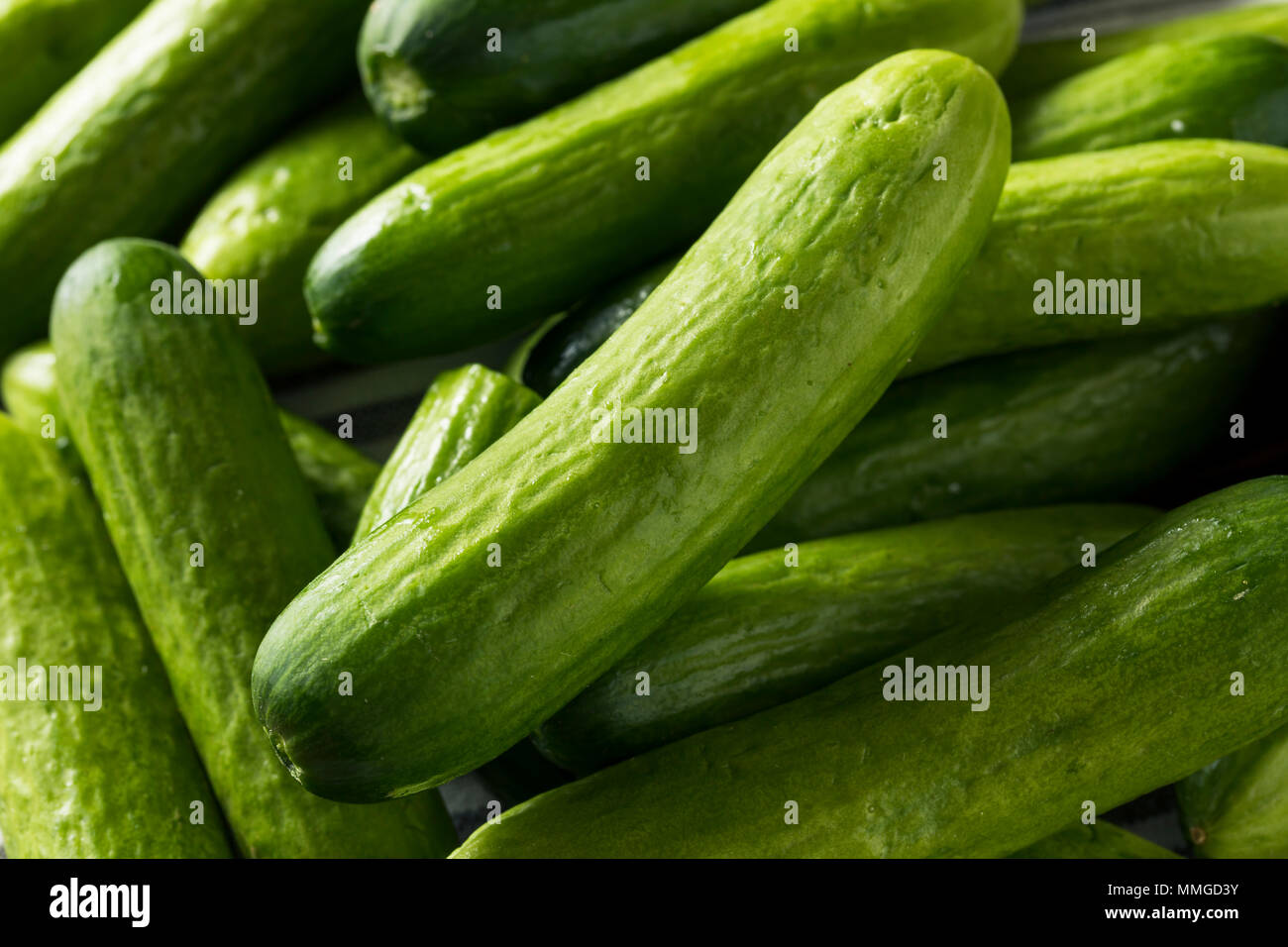 Raw Green Organic Baby Cucumbers Ready to Eat Stock Photo Alamy