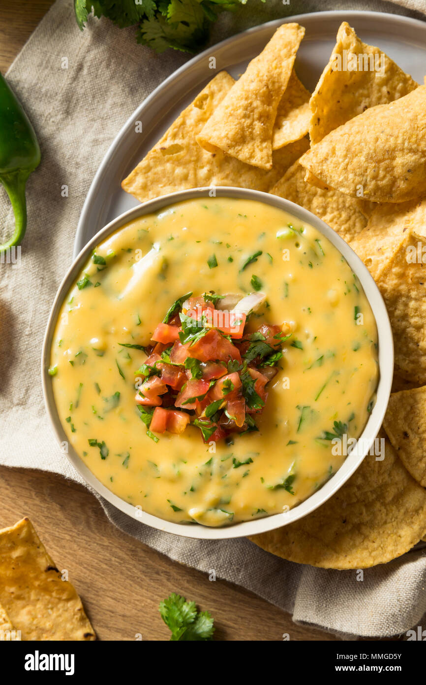 Spicy Homemade Cheesey Queso Dip with Tortilla Chips Stock Photo Alamy