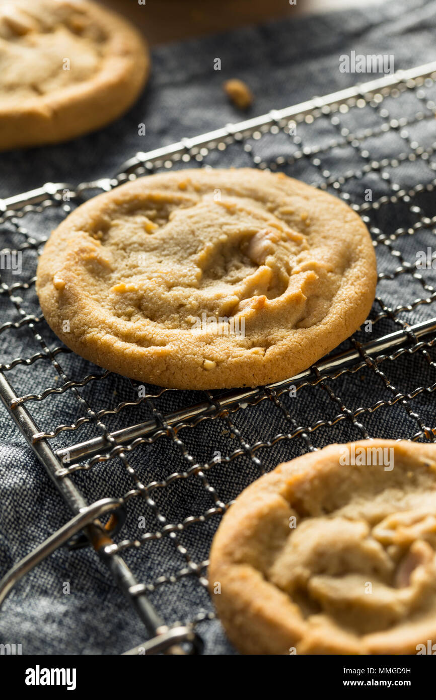 Sweet Homemade Peanut Butter Cookies with Milk Stock Photo