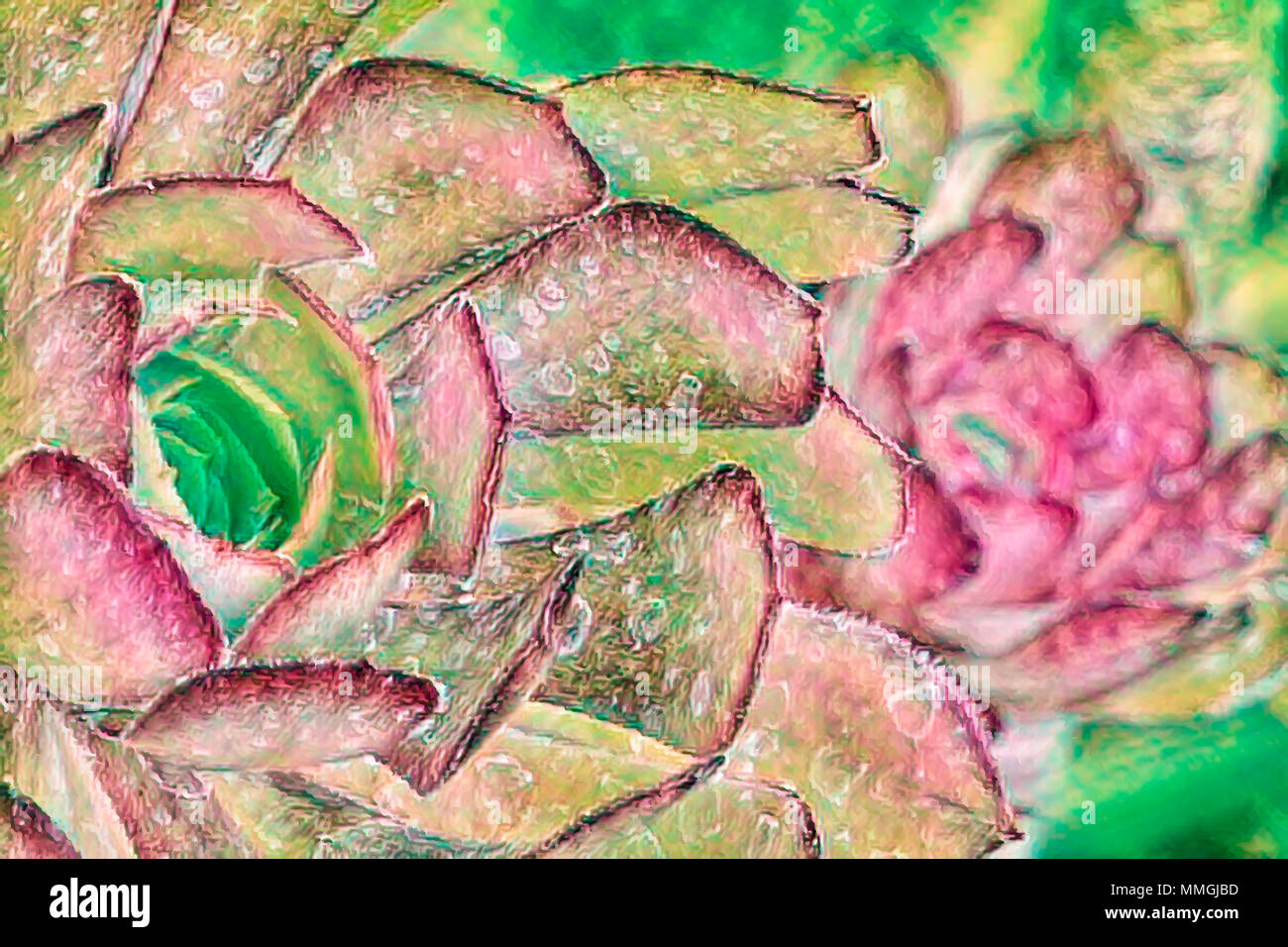 A artistic interpretation closeup of an Aeonium plant suitable for decor. Stock Photo