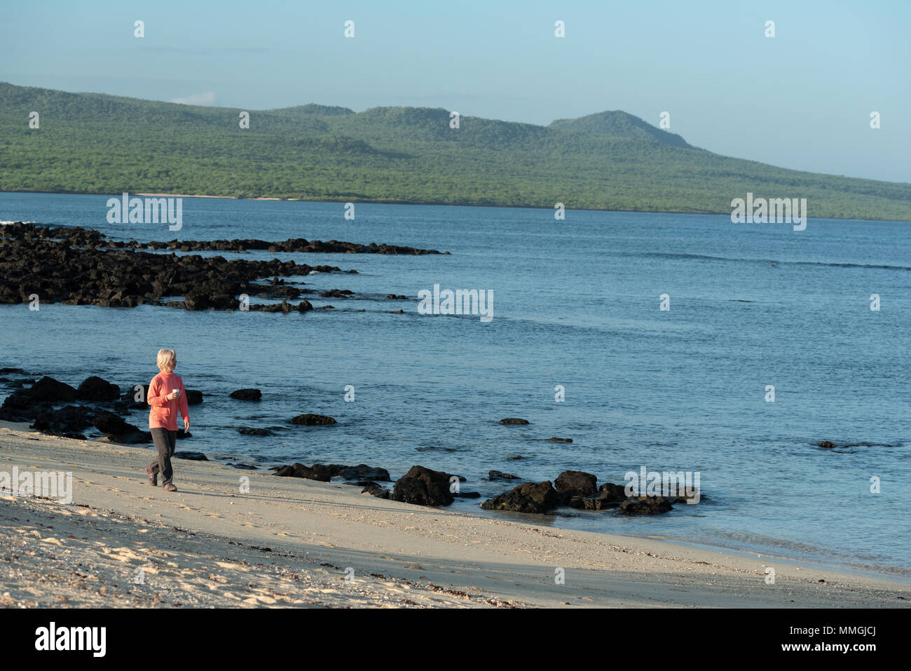 Woman taking a morning walk with a cup of coffee on a beach of San Cristobal Island,  Galapagos Islands, Ecuador. Stock Photo