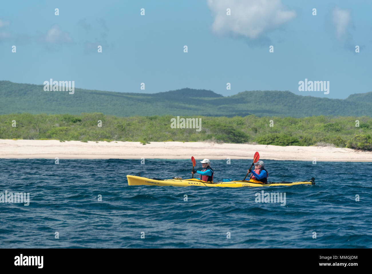 Sea kayaking in the Galapagos Islands, Ecuador Stock Photo Alamy