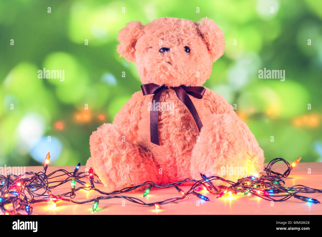 vintage style teddy