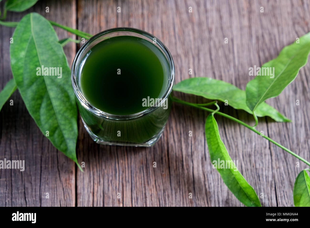 Bamboo grass, bai-ya-nang juice  . (Name spelled as Thailand) Tiliacora triandra Stock Photo