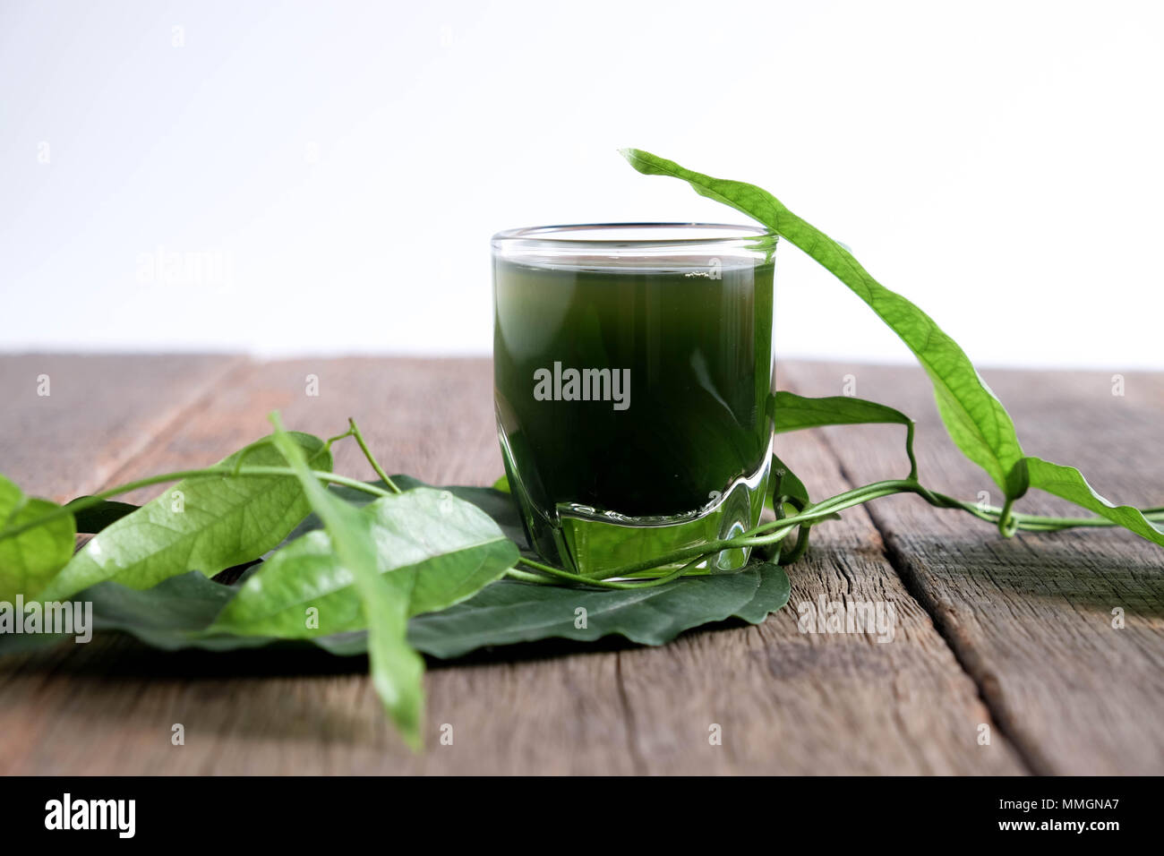 Bamboo grass, bai-ya-nang juice  . (Name spelled as Thailand) Tiliacora triandra Stock Photo