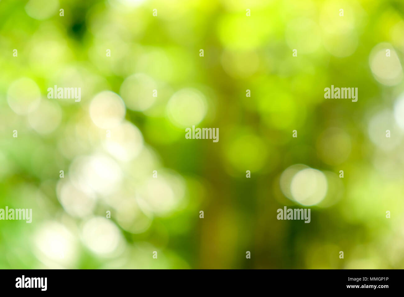 abstract green bokeh Nature background Stock Photo - Alamy