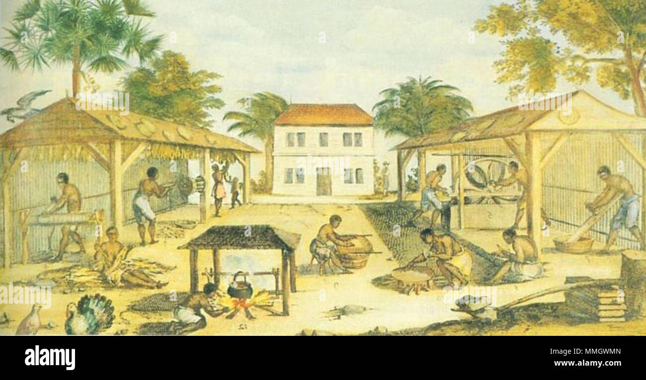 English: 'Slaves working in 17th-century Virginia,' by an unknown artist, 1670. . 1670. Unknown 1670 virginia tobacco slaves