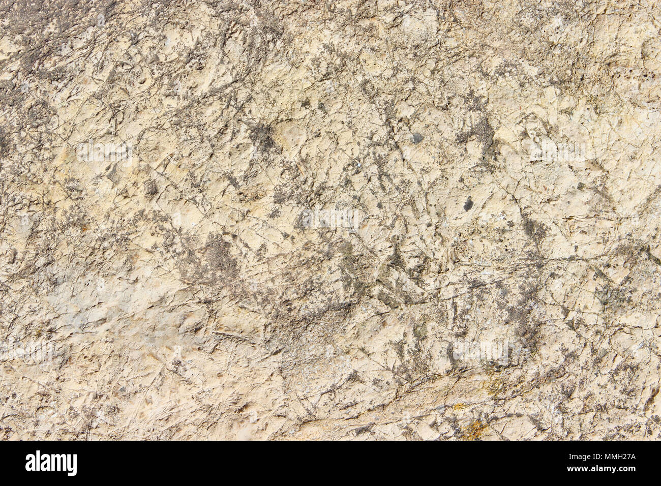 Natural Stone Paving Limestone High Resolution Stock Photography and ...