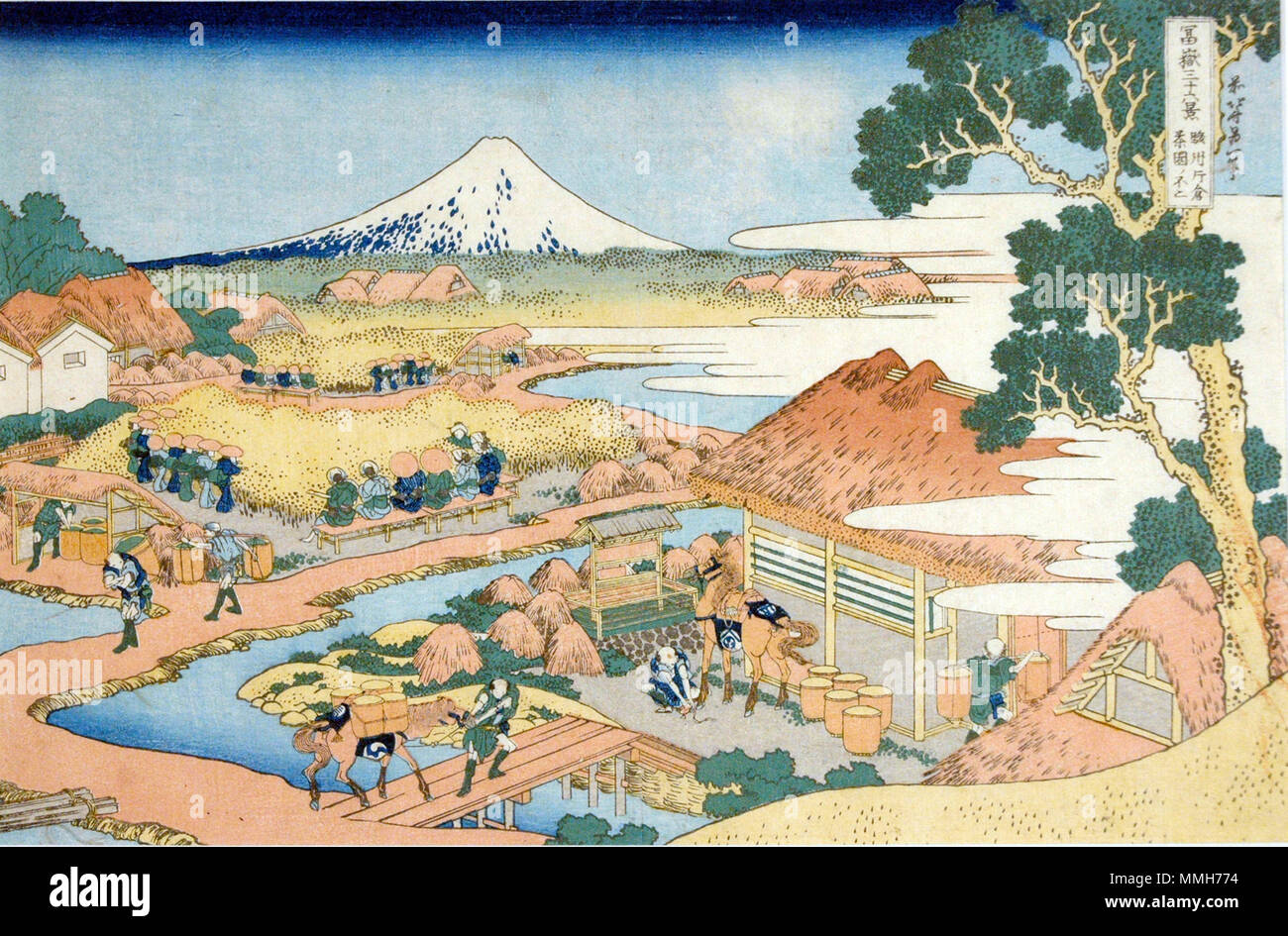 . English: Accession Number: 1957.171 Display Artist: Katsushika Hokusai Display Title: Fuji from the Tea Plantation of Katakura in Suruga Province Series Title: Thirty-six Views of Mount Fuji Suite Name: Fugaku sanjurokkei Creation Date: ca. 1831-1834 Height: 10 in. Width: 14 13/16 in. Display Dimensions: 10 in. x 14 13/16 in. (25.4 cm x 37.62 cm) Publisher: Nishimuraya Yohachi Credit Line: Bequest of Mrs. Cora Timken Burnett Label Copy: 'El artista utilizo la tcnica poco usual de lneas blancas, en lugar de negras, para representar lluvia torrencial. La lluvia que cae en el quinceavo da del t Stock Photo