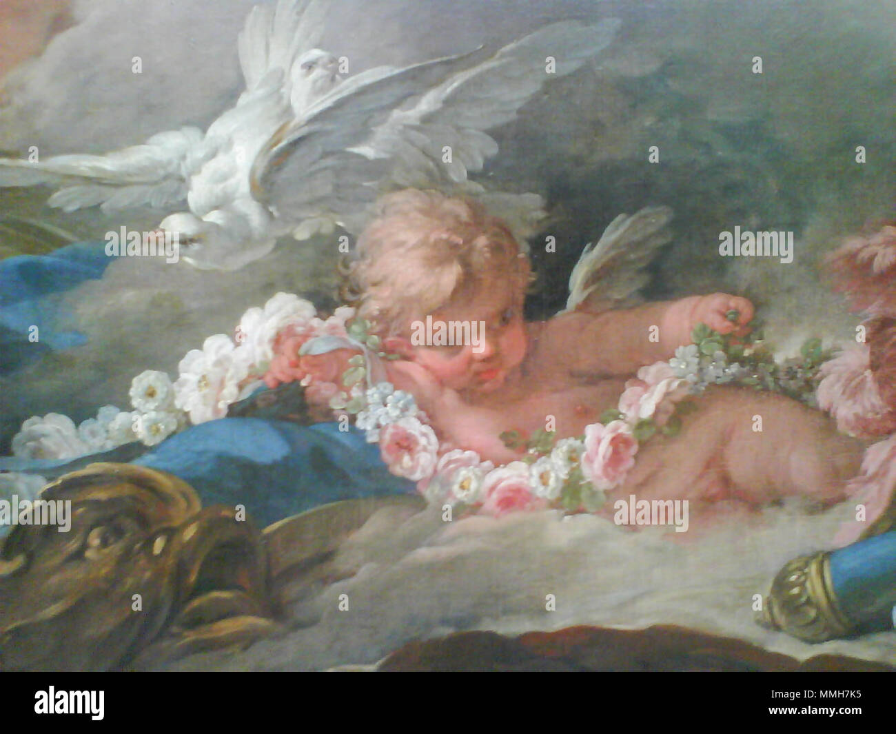 Amour Angels