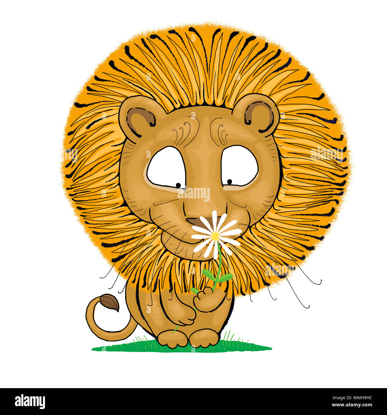 An illustration of a male lion with a big mane, sniffing a white flower. Stock Photo