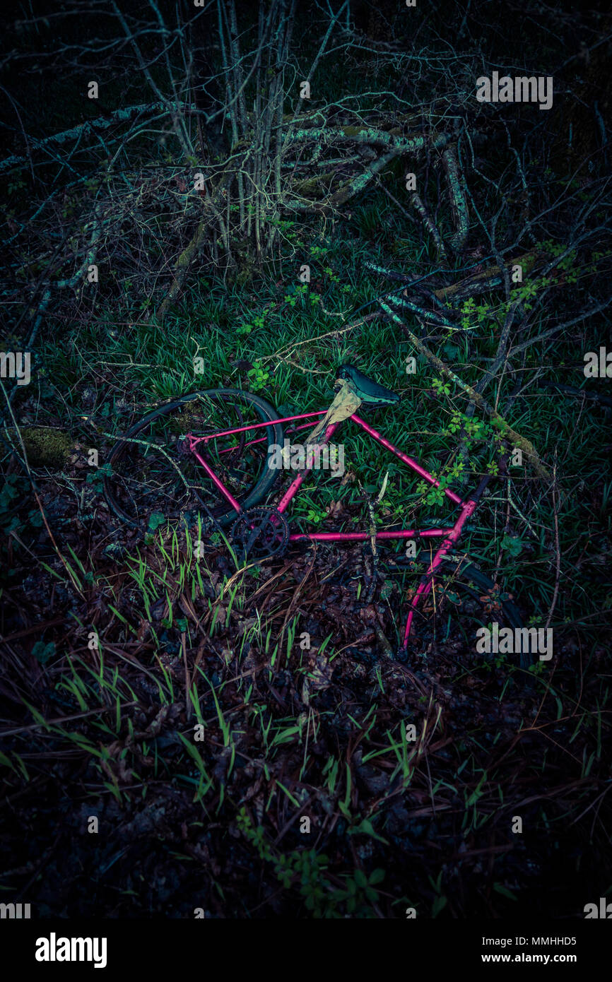 broken and rusty, abandoned red bike lying on grass Stock Photo