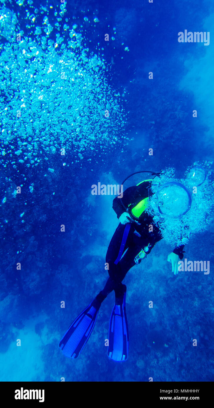 diver, scuba diving great barrier reef, an amazing experience Stock