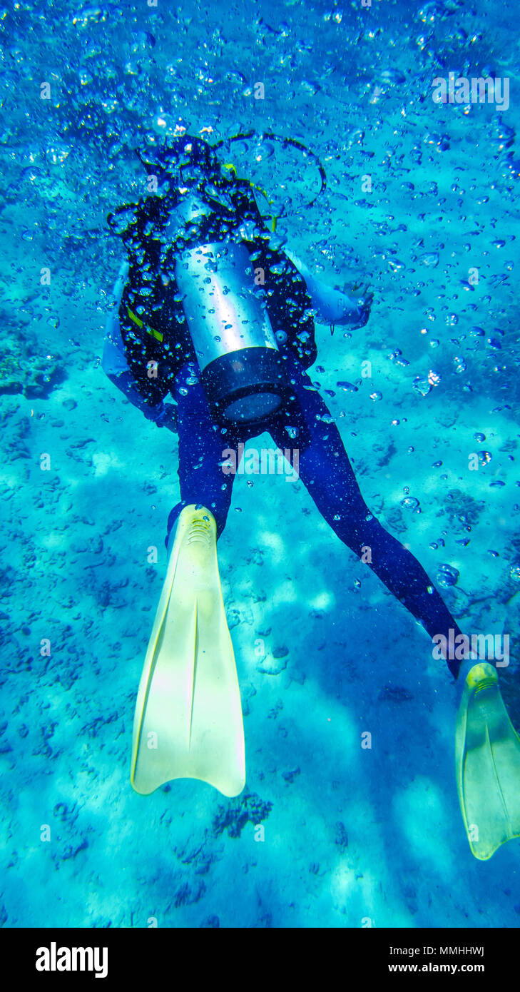 diver, scuba diving great barrier reef, an amazing experience Stock