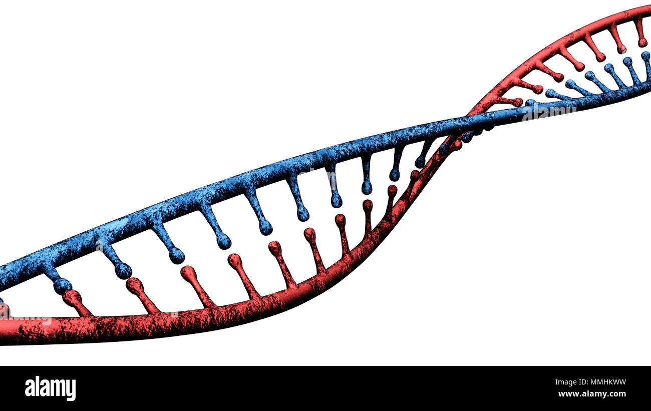 DNA, Deoxyribonucleic acid is a threadlike chain of nucleotides carrying the