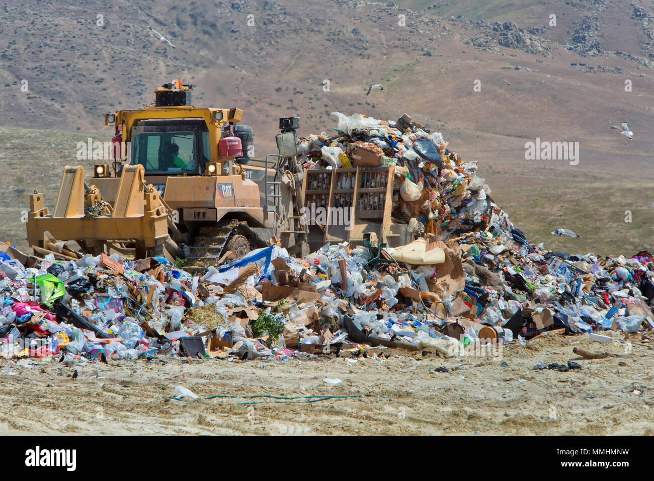 Driver operating Caterpillar Track Laying Dozer pushing trash, sanitary landfill.. Stock Photo