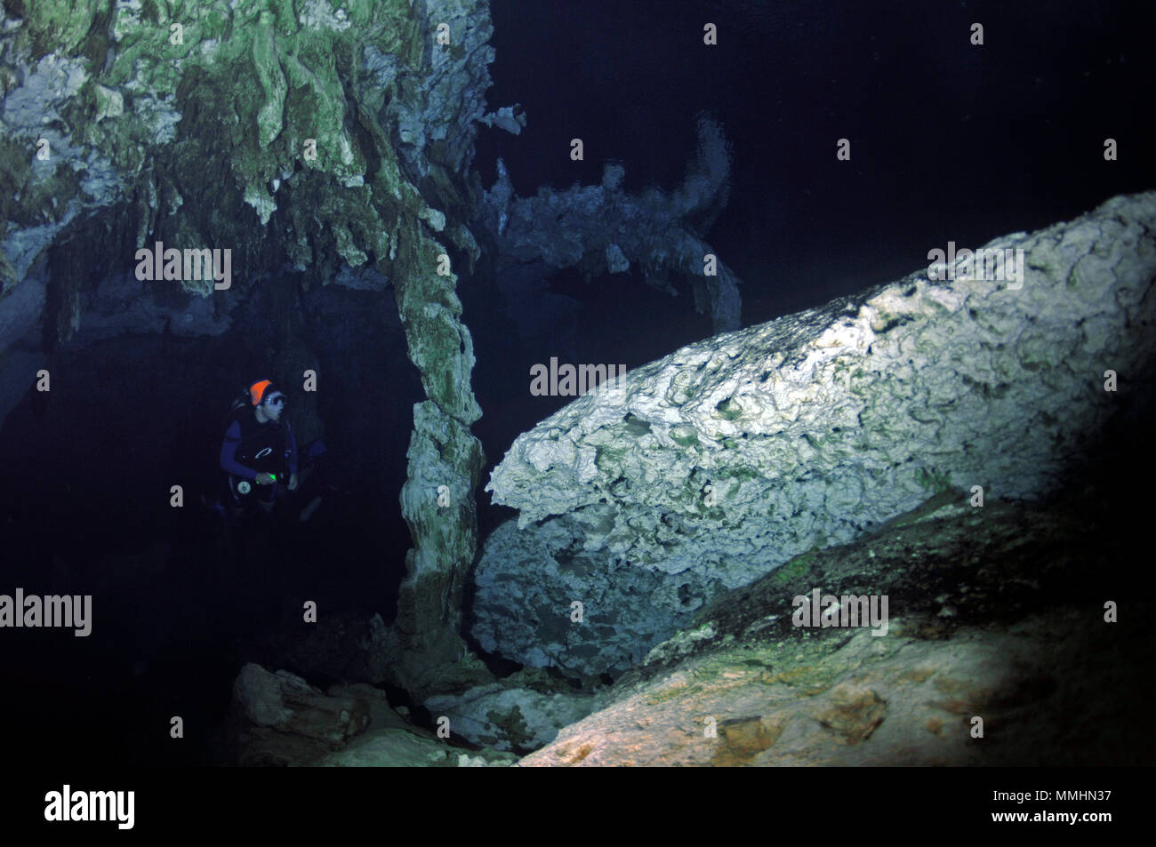Diver explores the underwater scenery inside Cenote Dos Ojos, Tulum, Quintana Roo, Mexico Stock Photo