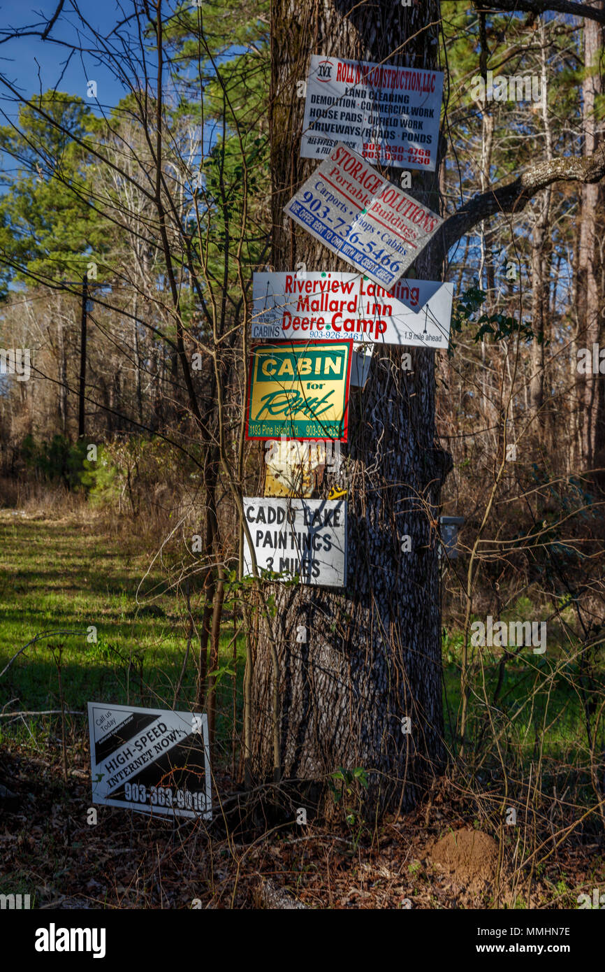 Signs On Tree At Caddo Lake State Park Eastern Texas Near
