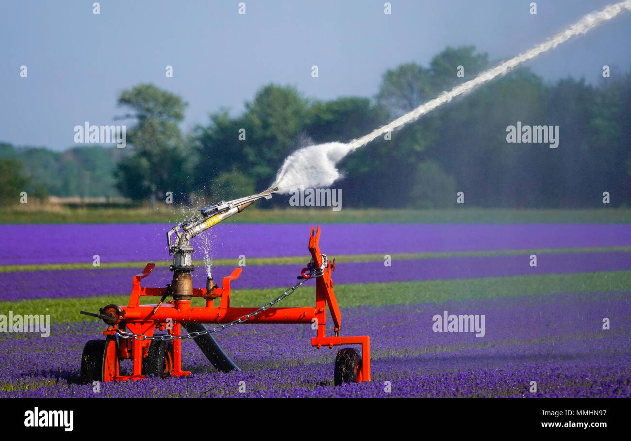 Sprinkler System Installation How-to DIY - Smart Irrigation