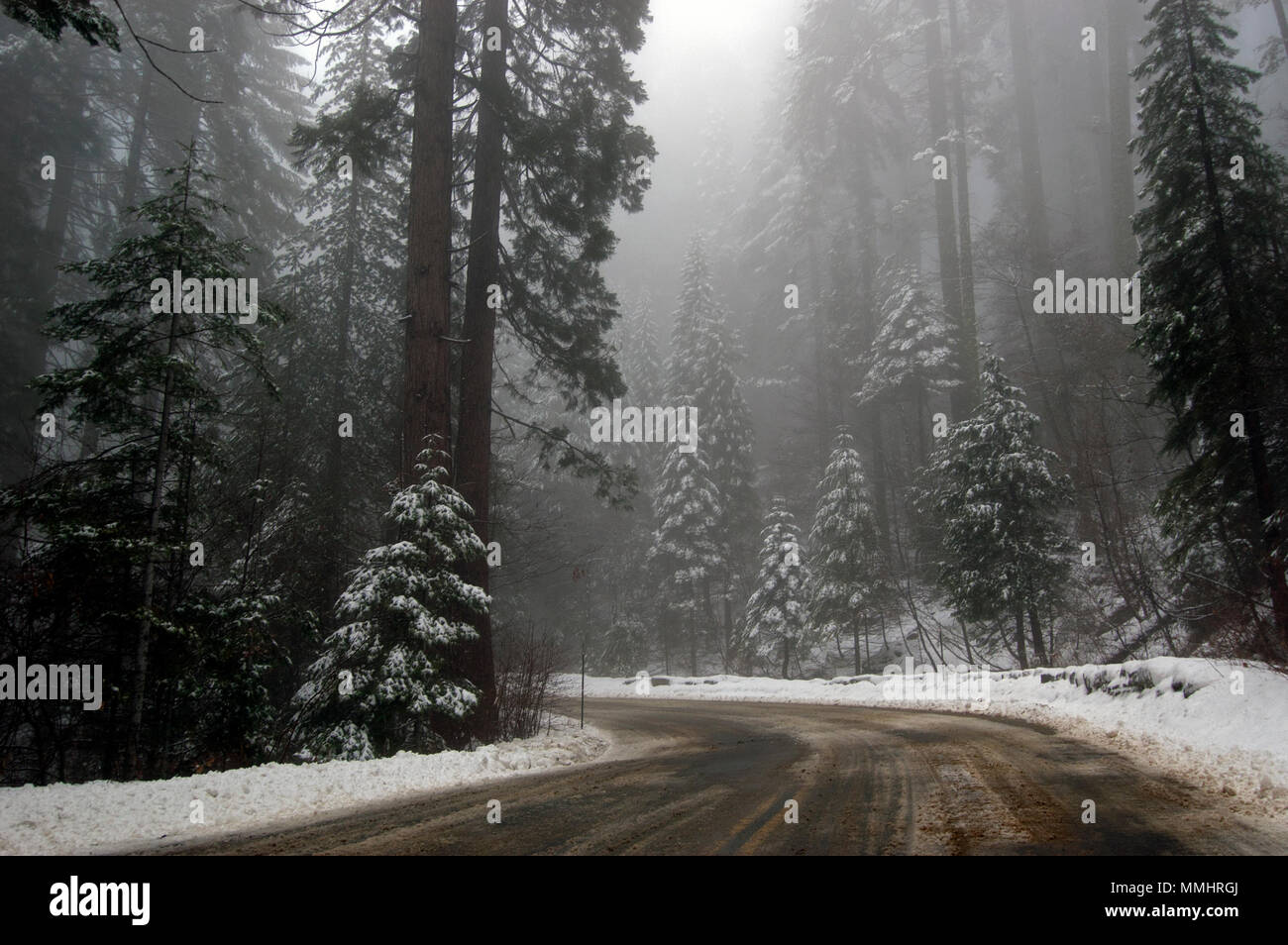 Road to Sequoia National Park at winter, California, USA Stock Photo