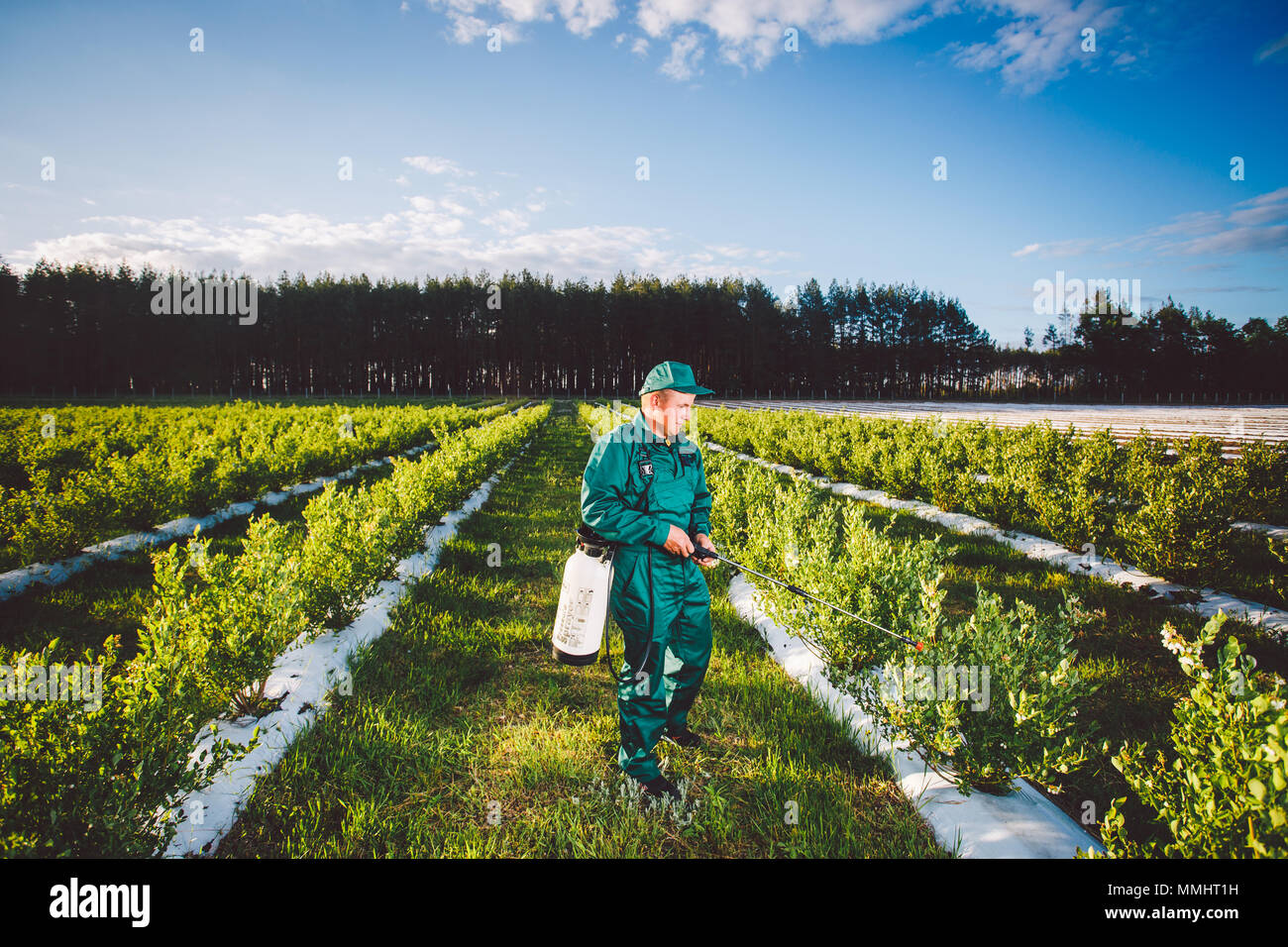 Ukraine, Kiev region June 2, 2017 Agricultural worker in green uniform