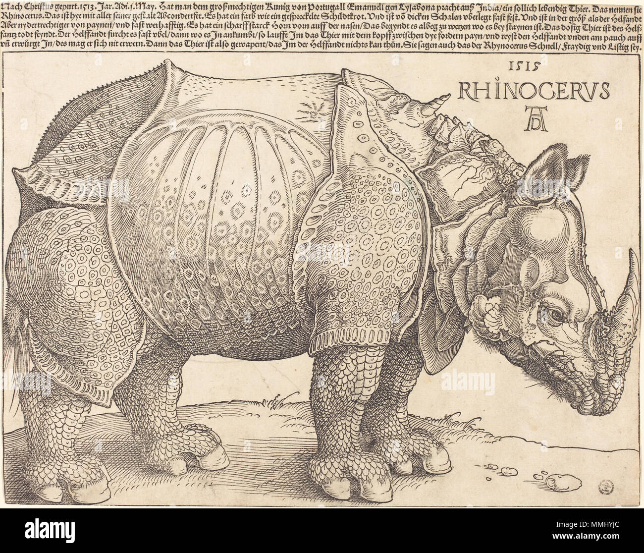 R-20101201-0031.jpg Albrecht Dürer (German, 1471 - 1528 ), The Rhinoceros, 1515, woodcut, Rosenwald Collection Albrecht Dürer - The Rhinoceros (NGA 1964.8.697) Stock Photo