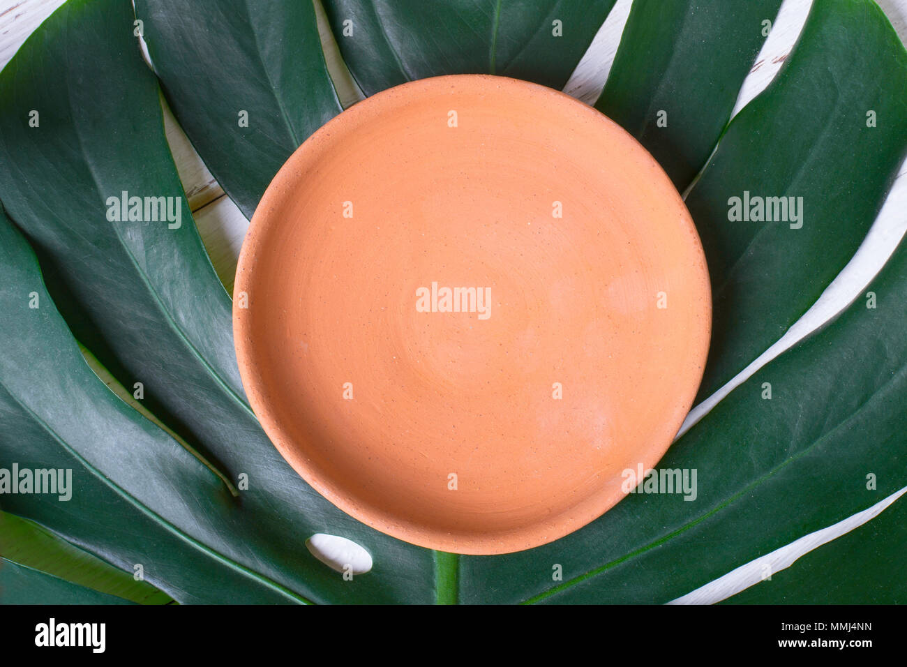 Empty ceramic handmade dish on a leaf of monsters. Stock Photo