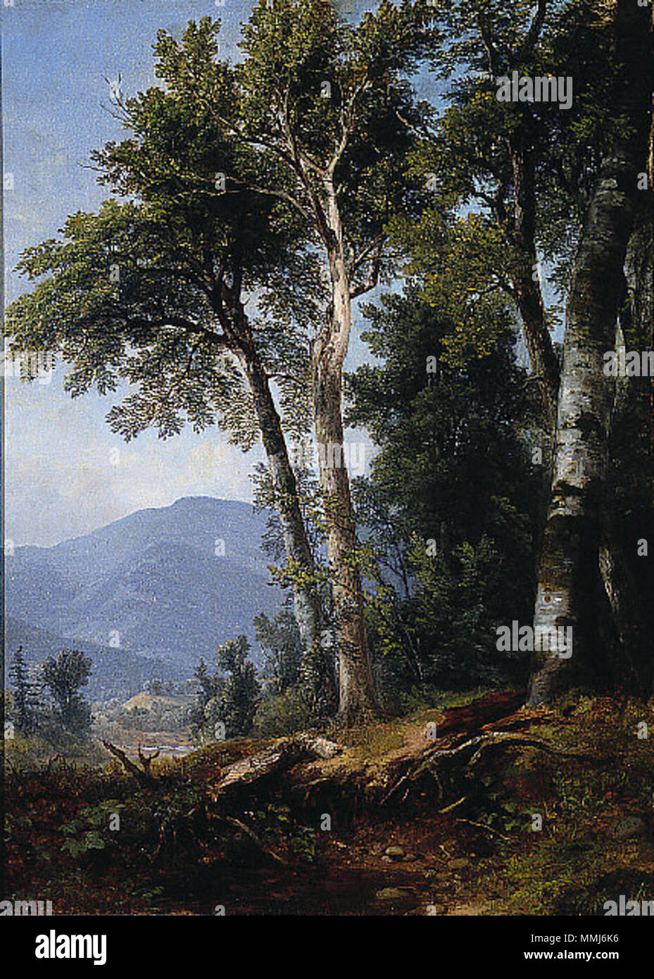 English: Woodland Landscape . circa 1850. Asher Brown Durand - Woodland Landscape Stock Photo