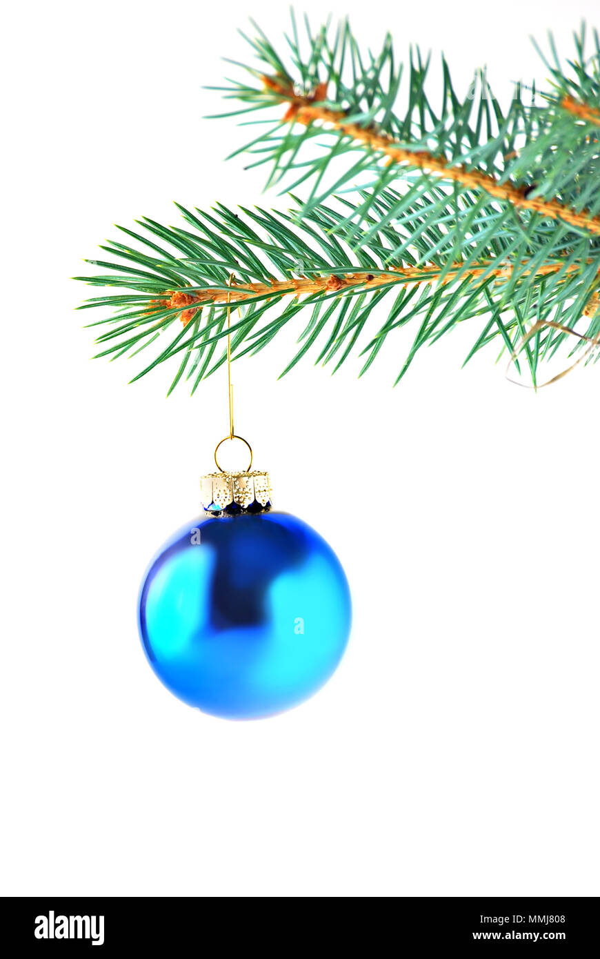 blue christmas ornament hanging from a spruce branch Stock Photo - Alamy