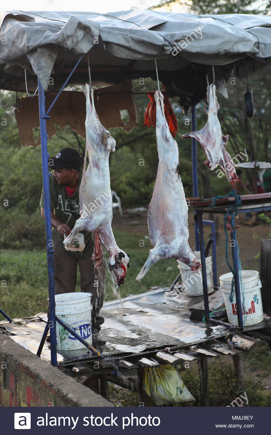 Butchering Goat Stock Photos & Butchering Goat Stock Images Alamy