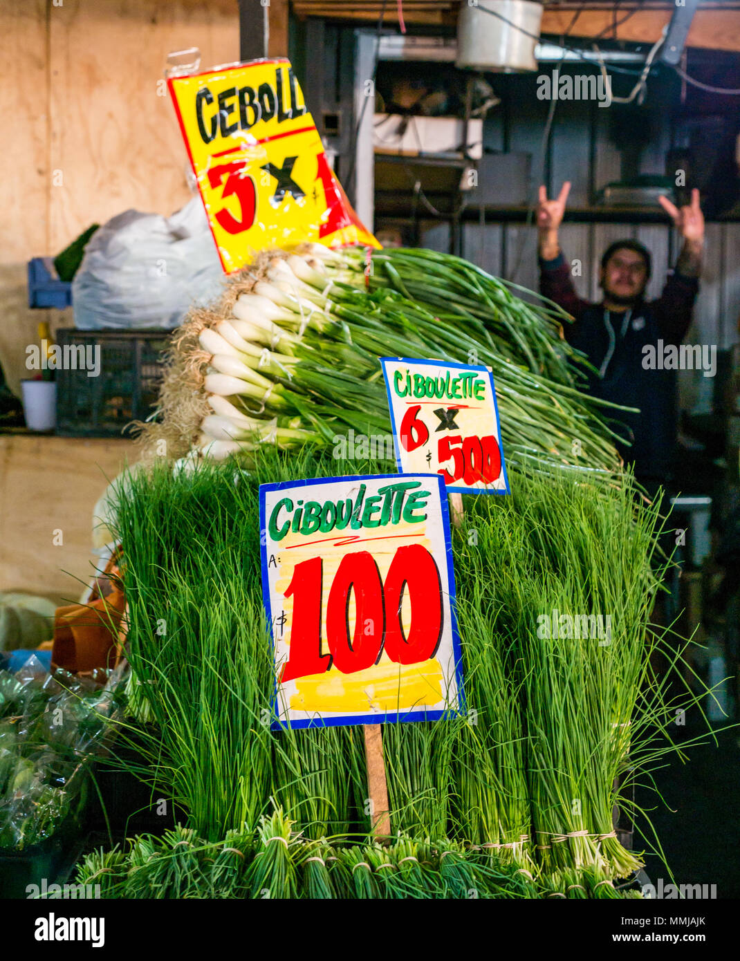 Spring onions for sale with market seller in background giving V sign, Patronata fruit and vegetable market, Santiago, Chile, South America Stock Photo