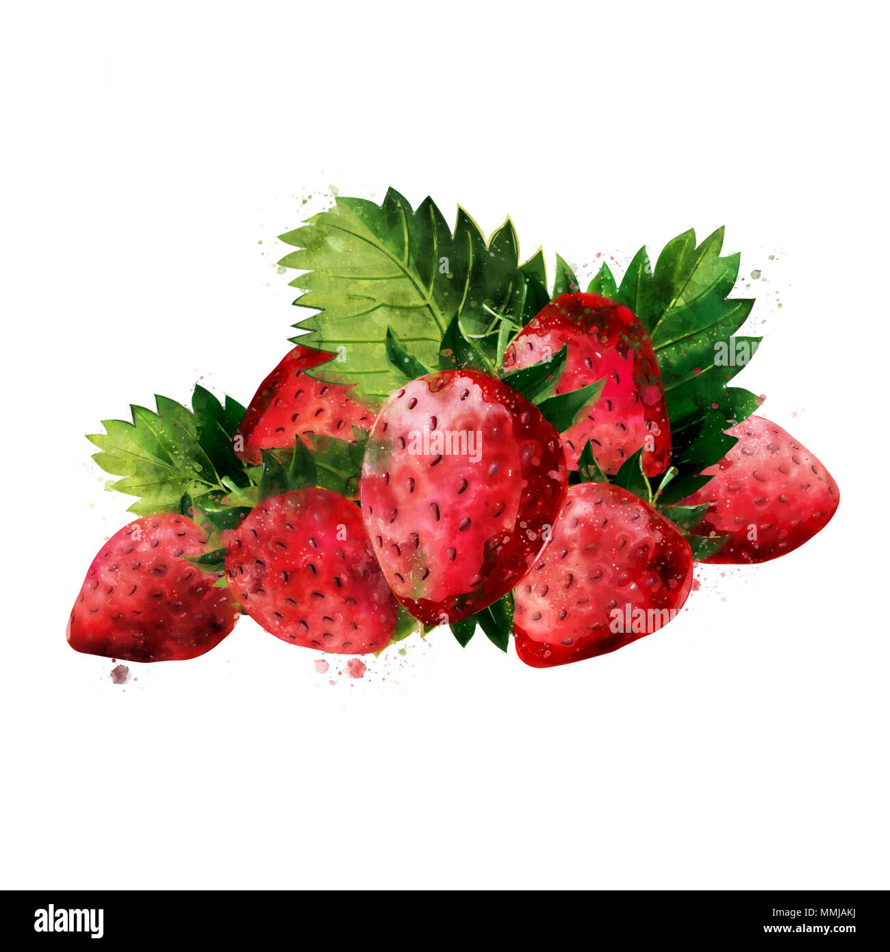 Strawberry, isolated illustration on a white background Stock Photo - Alamy