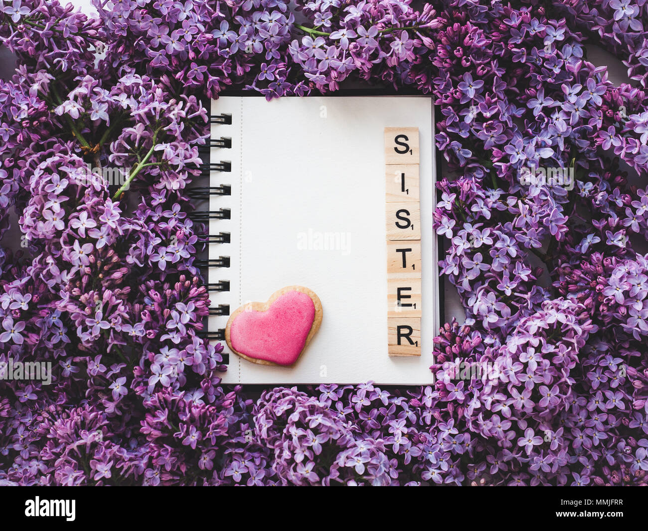 One Page 4 Photo Inscriptions Blank page for Your inscription Stock Photo - Alamy