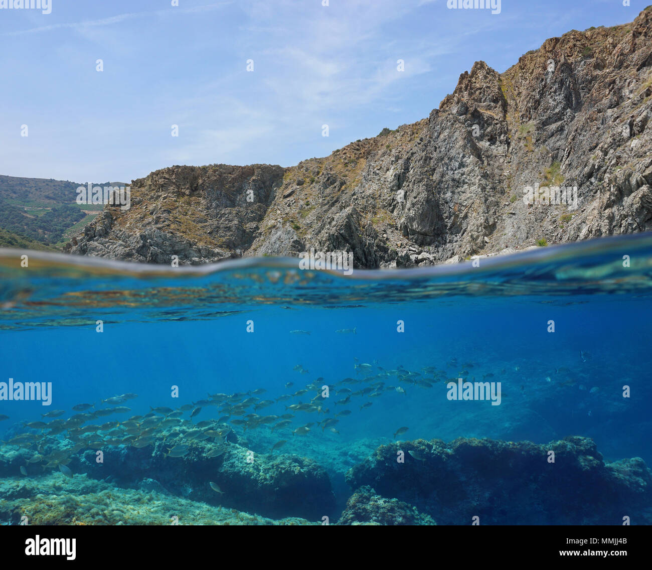 Coastal cliff with a school of fish underwater, split view above and below water surface, Mediterranean sea, Marine reserve of Cerbere Banyuls, France Stock Photo