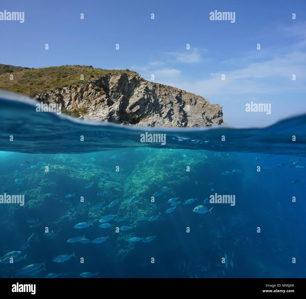 Mediterranean sea rocky coast split view above and below water surface with a shoal of fish underwater, Marine reserve of Cerbere Banyuls, France Stock Photo