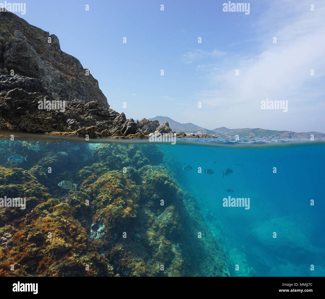 Mediterranean sea rocky shore with fish underwater, split view above