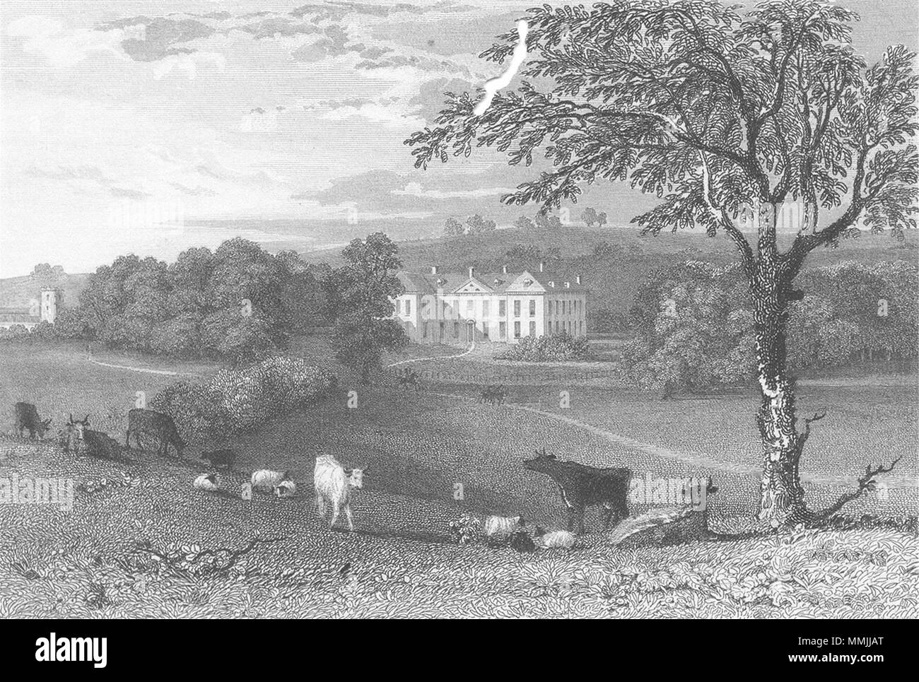LEICS. Lowesby Hall, Leicestershire. Jones 1829 old antique print picture Stock Photo