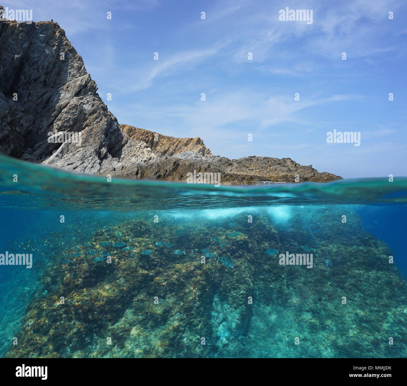 Rocky sea shore with fish underwater, split view above and below water surface, Mediterranean sea, Marine reserve of Cerbere Banyuls, France Stock Photo