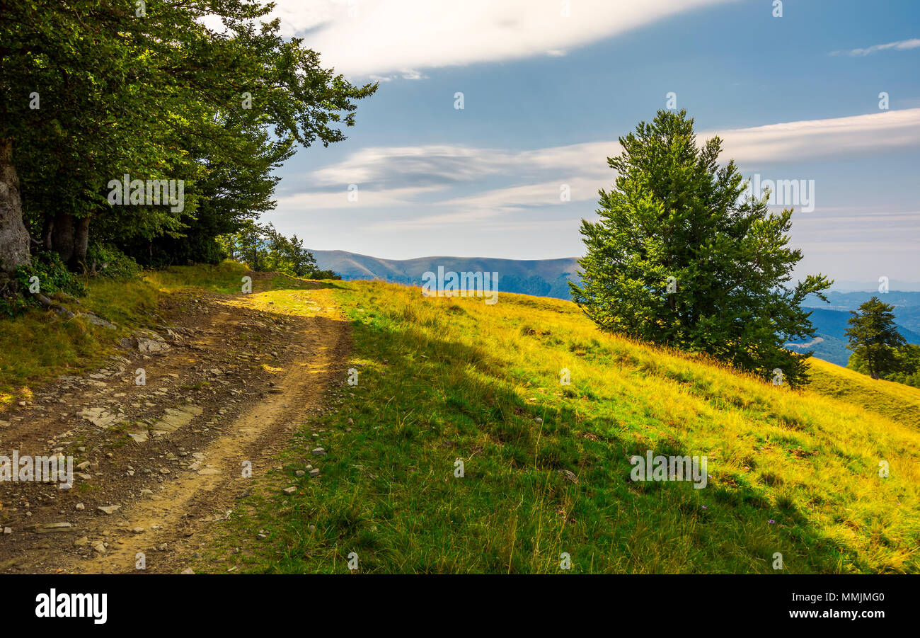 country road through forested hillside. lovely summer scenery of Carpathian mountains. Apetska mountain in the distance Stock Photo