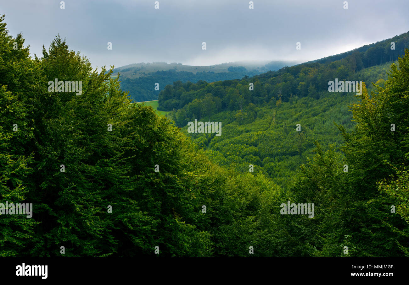 mountain behind the forested hill. lovely nature background on an overcast autumn day Stock Photo