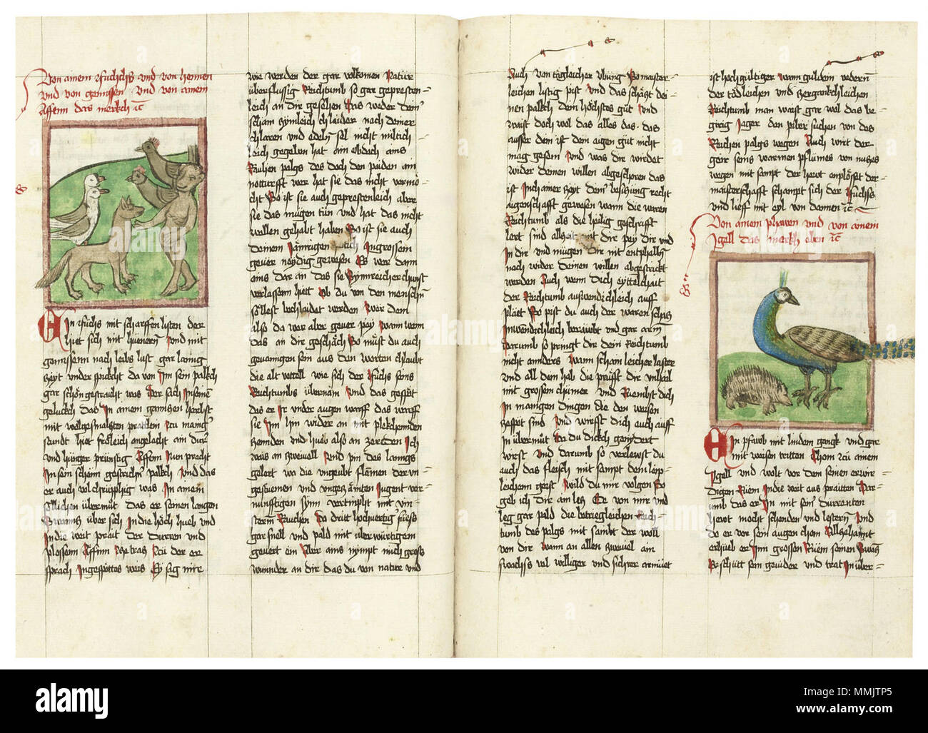 Das Buch der natürlichen Weisheit (Pottenstein) 7 Stock Photo