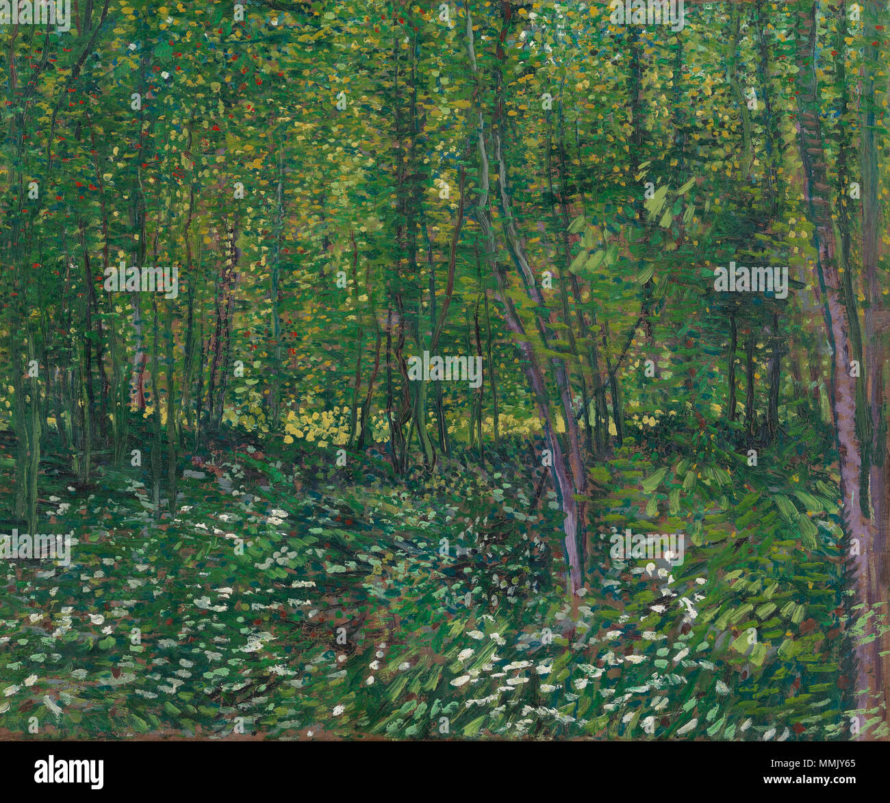 English: Painting by Vincent van Gogh, 1887 Nederlands: Schilderij van  Vincent van Gogh, 1887 English: Trees and Undergrowth Nederlands: Bos met  kreupelhout . 1887. Bos met kreupelhout - s0066V1962 - Van Gogh Museum  Stock Photo - Alamy
