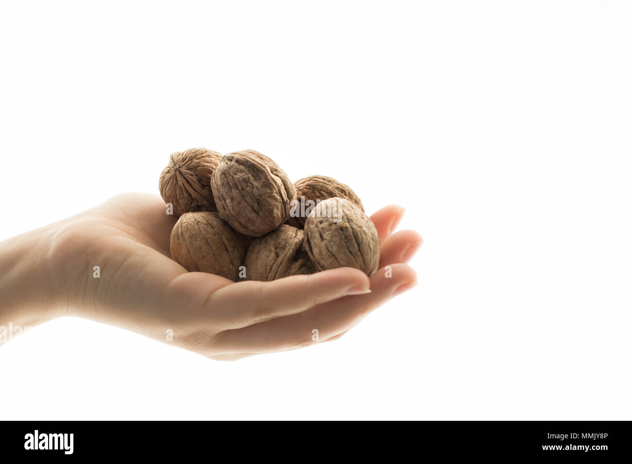 Hands holding handful of walnuts Stock Photo Alamy