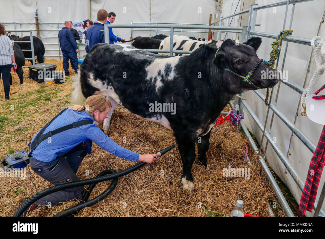 Ayrshire, UK. 12th May 2018. On a hot and sunny May day, the annual Ayr County Show held at Ayr Race course attracted hundreds of entrants to the farming competitions and also thousands of spectators. As well as the usual competitions for cattle, sheep and poultry, there were prizes for the winners of the male and female 'Young Farmers Tug of War' competition and for the best decorated lorry Credit: Findlay/Alamy Live News Stock Photo