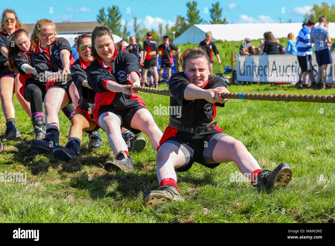 Ayrshire, UK. 12th May 2018. On a hot and sunny May day, the annual Ayr County Show held at Ayr Race course attracted hundreds of entrants to the farming competitions and also thousands of spectators. As well as the usual competitions for cattle, sheep and poultry, there were prizes for the winners of the male and female "Young Farmers Tug of War" competition and for the best decorated lorry Credit: Findlay/Alamy Live News Stock Photo