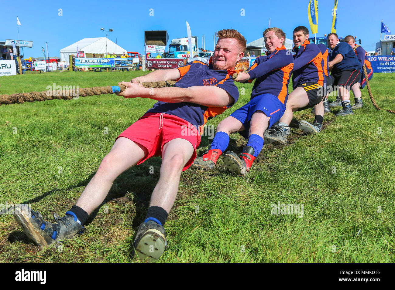 Ayrshire, UK. 12th May 2018. On a hot and sunny May day, the annual Ayr County Show held at Ayr Race course attracted hundreds of entrants to the farming competitions and also thousands of spectators. As well as the usual competitions for cattle, sheep and poultry, there were prizes for the winners of the male and female "Young Farmers Tug of War" competition and for the best decorated lorry Credit: Findlay/Alamy Live News Stock Photo