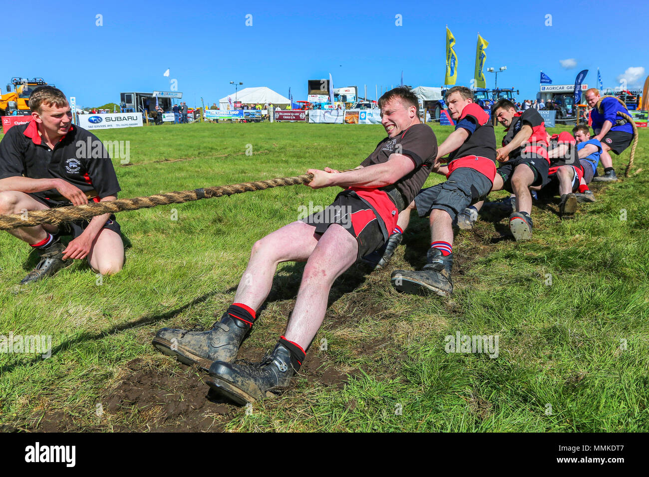 Ayrshire, UK. 12th May 2018. On a hot and sunny May day, the annual Ayr County Show held at Ayr Race course attracted hundreds of entrants to the farming competitions and also thousands of spectators. As well as the usual competitions for cattle, sheep and poultry, there were prizes for the winners of the male and female "Young Farmers Tug of War" competition and for the best decorated lorry Credit: Findlay/Alamy Live News Stock Photo